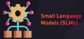 Formation Small Language Models (SLMs) en Belgique