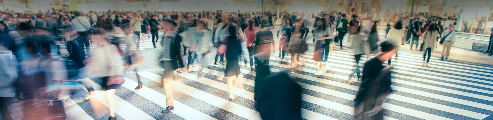 Formation et Conseil