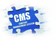 Content Management System (CMS) Training in Belgium