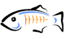 Formation GlassFish en Belgique