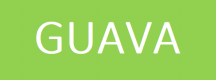 Formation Guava en Belgique
