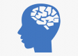 Formation Human Factors en Belgique