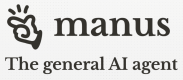 Formation Manus AI en Belgique