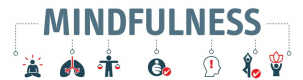 Mindfulness Trainingen in België