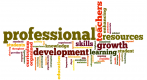 Développement Professionnel